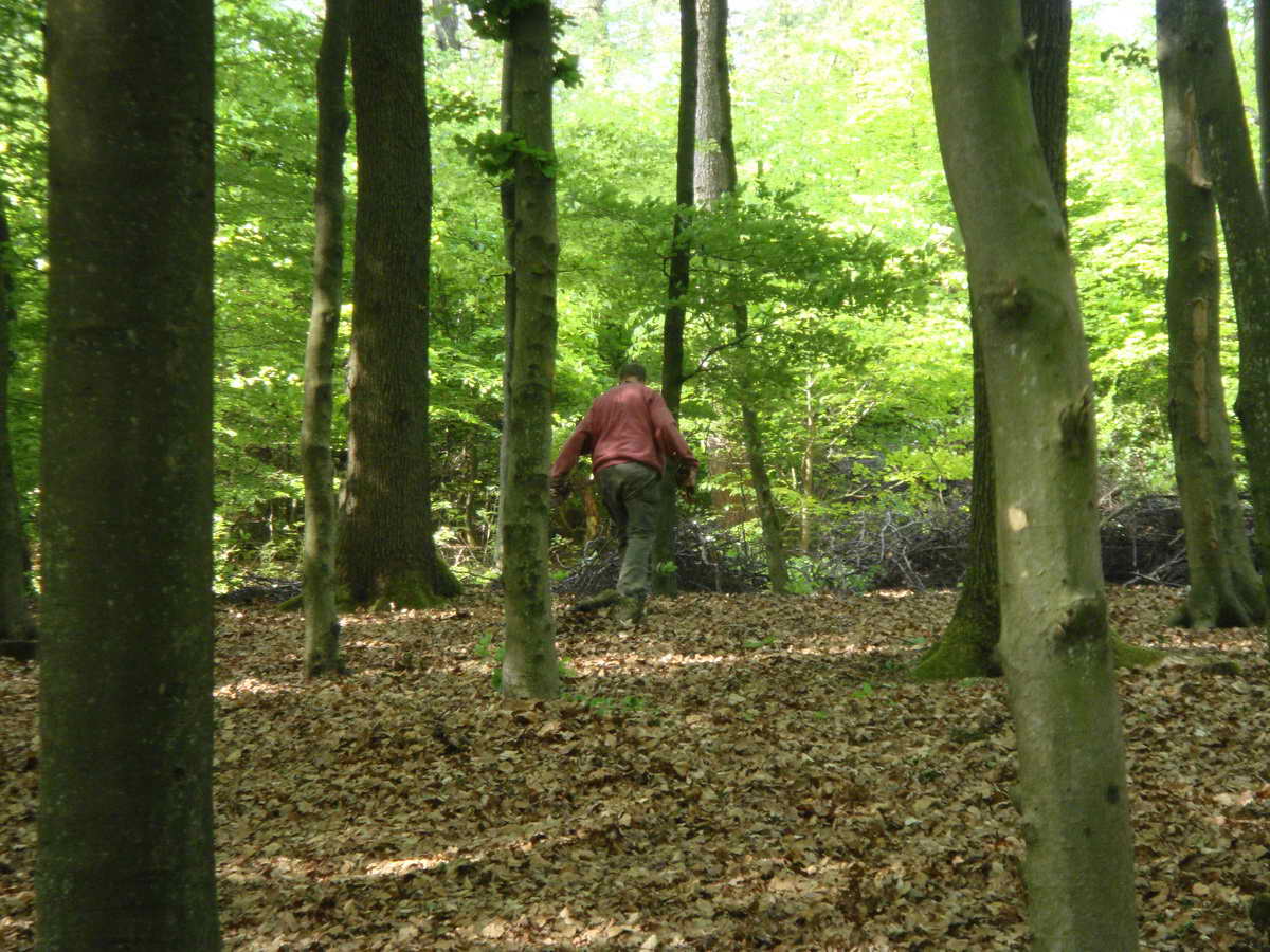 2011-05-07 KPF Wald 30.jpg